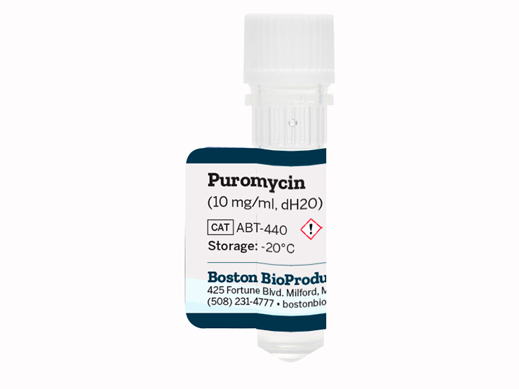 Puromycin (10 mg/ml, dH2O)