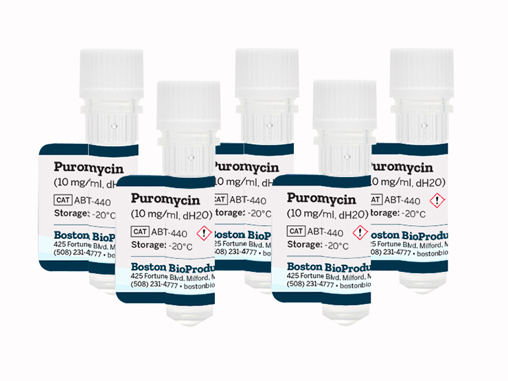Puromycin (10 mg/ml, dH2O)
