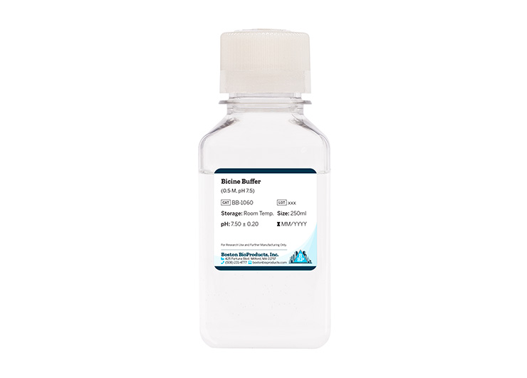 Bicine Buffer (0.5 M, pH 7.5) Bicine Buffer (0.5 M, pH 7.5)
