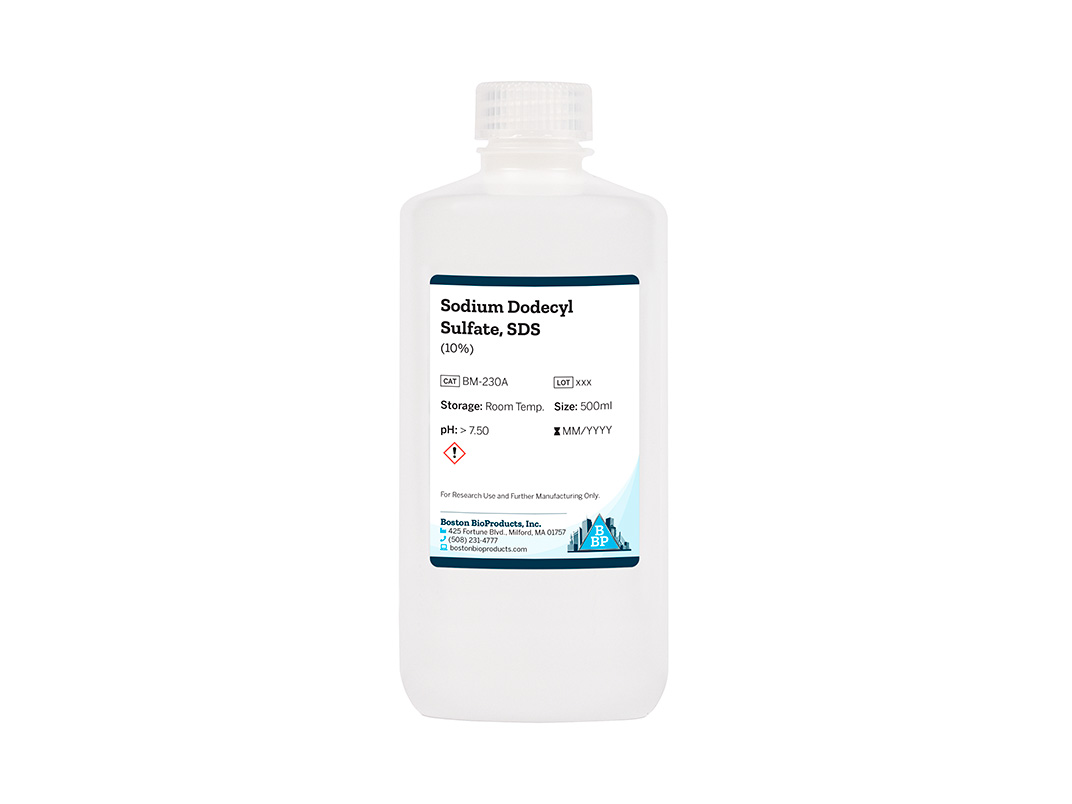 Sodium Dodecyl Sulfate, SDS (10%)