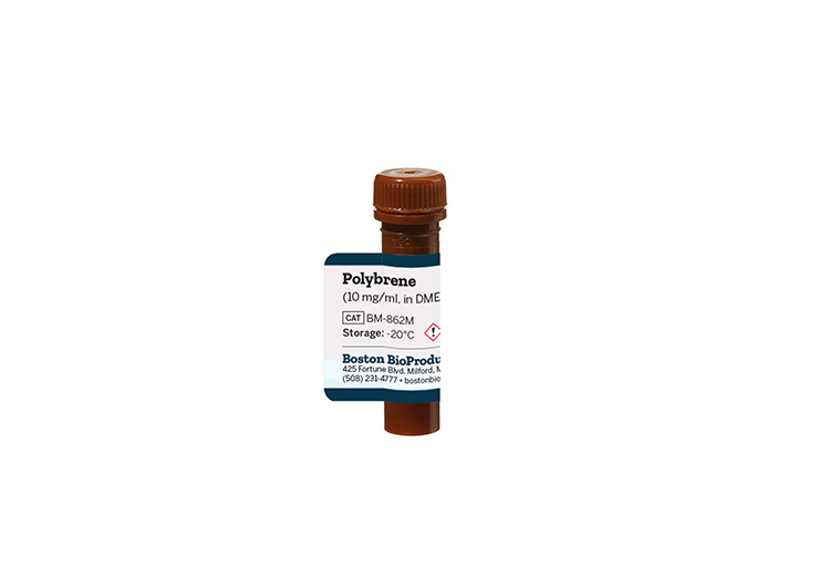 Polybrene (10 mg/ml, in DMEM)