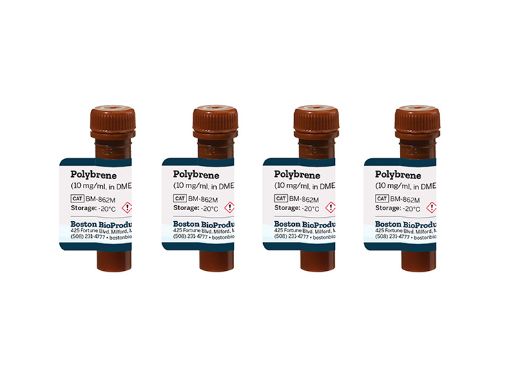 Polybrene (10 mg/ml, in DMEM)