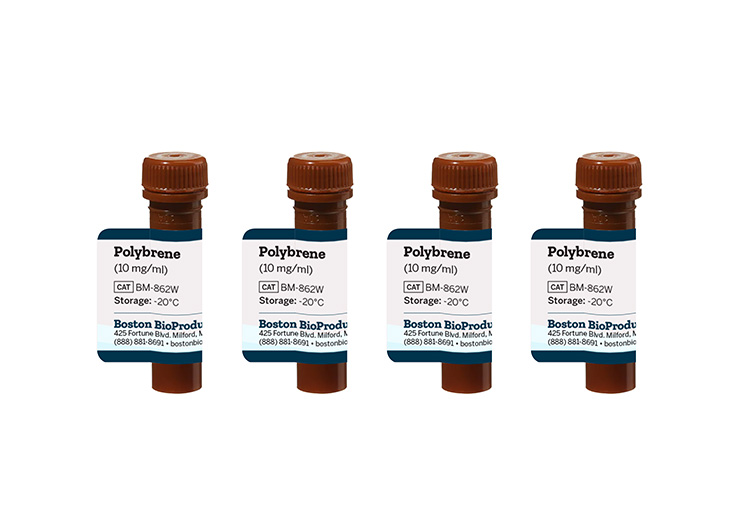 Polybrene (10 mg/ml)