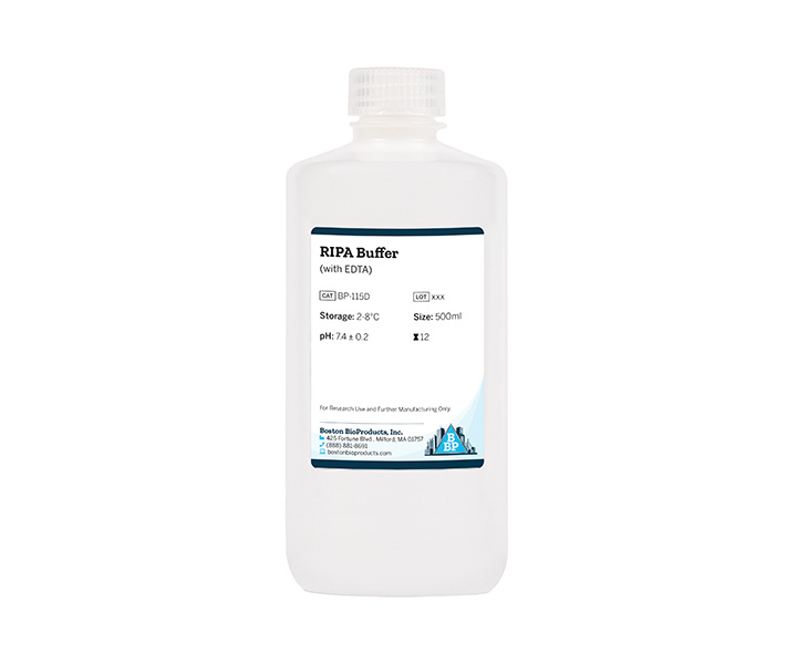 RIPA Buffer (with EDTA)