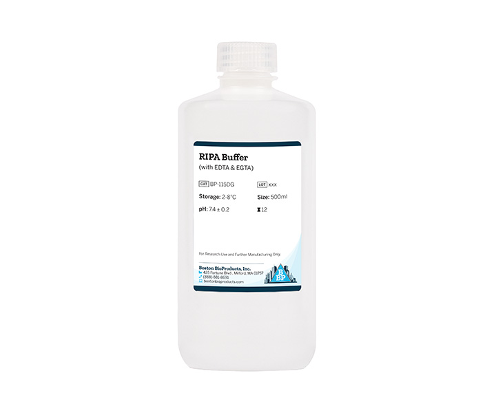 RIPA Buffer (with EDTA & EGTA)