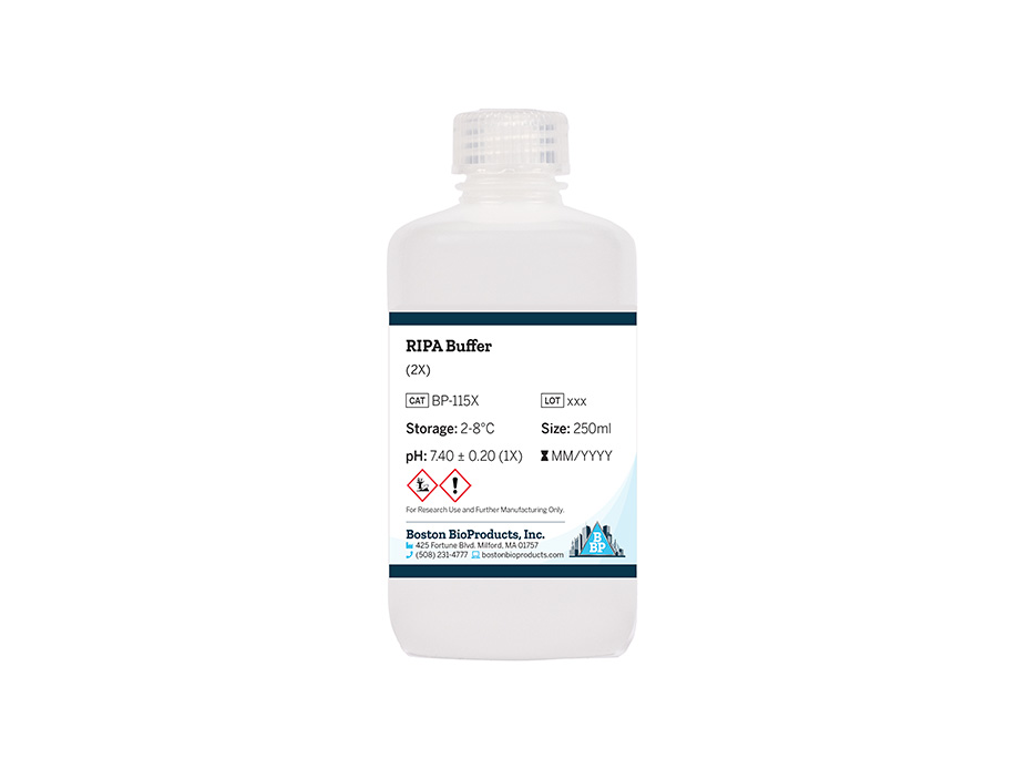 RIPA Buffer (2X)
