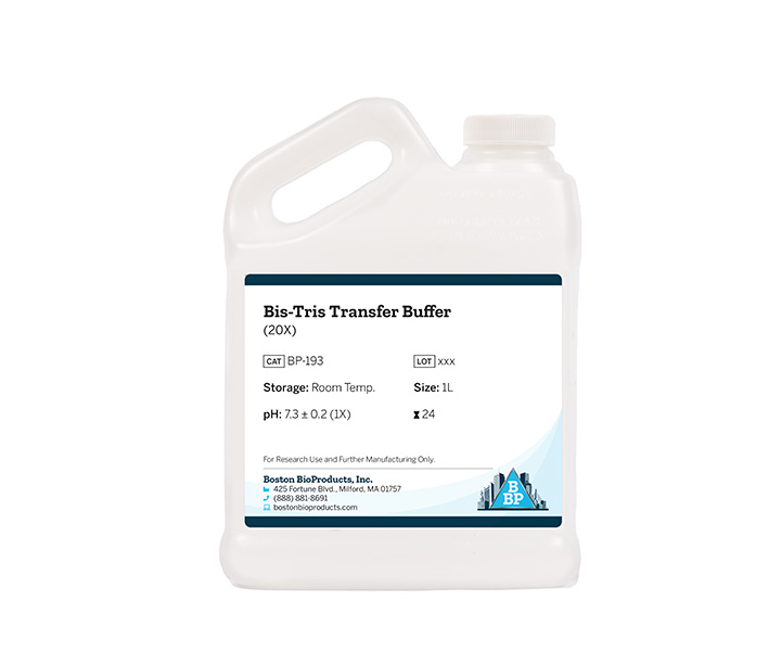 Bis-Tris Transfer Buffer (20X)