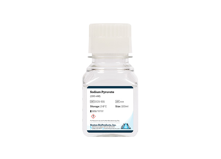 Sodium Pyruvate (100 mM)