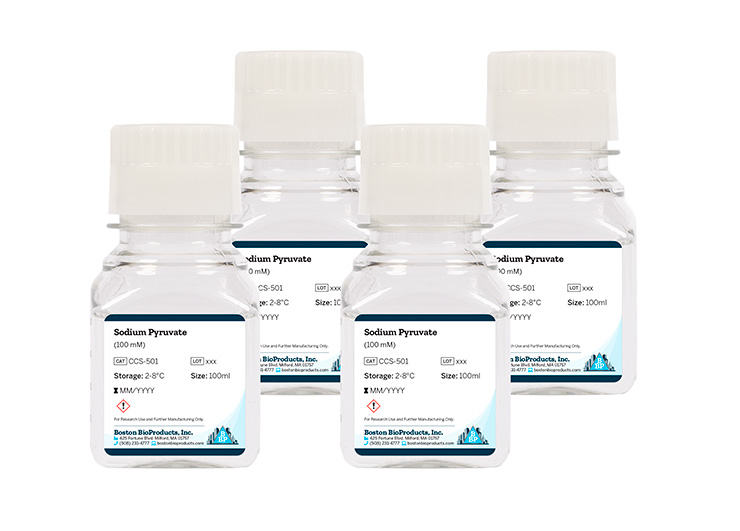 Sodium Pyruvate (100 mM)