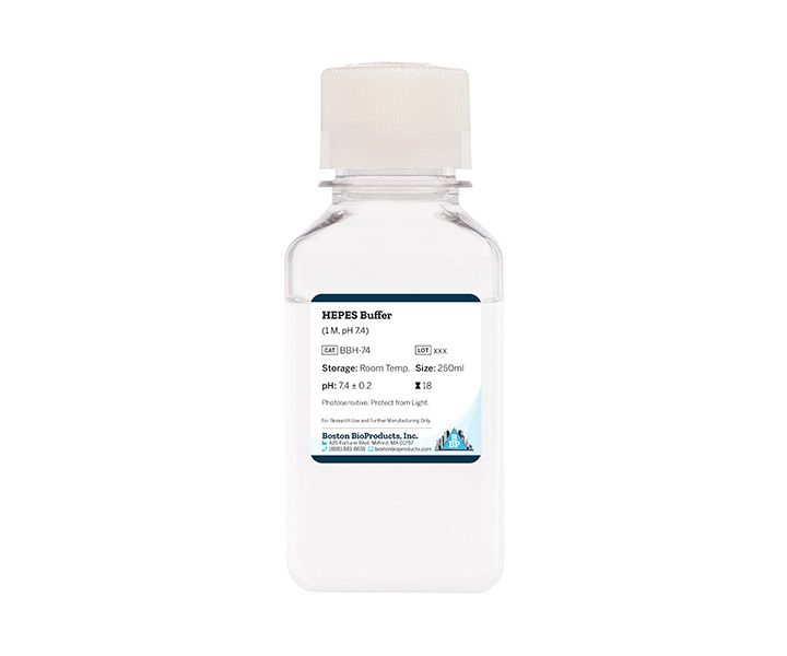 HEPES Buffer (1 M, pH 7.4)