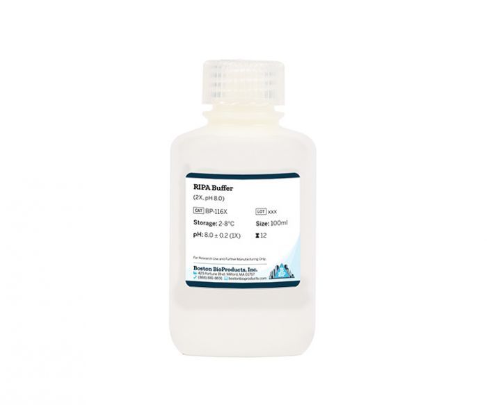 RIPA Buffer (2X, pH 8.0)