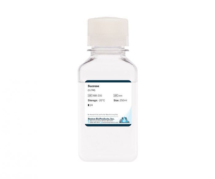 Dr.LAB INJECTION Treatment 500g 2個 楽天市場】 ▷ ブランドから探す > D > DR.LAB : RoseRoseShop