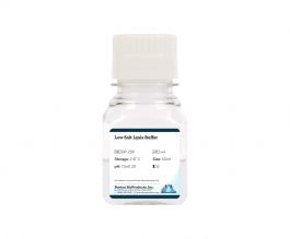 Low Salt Lysis Buffer | Boston BioProducts