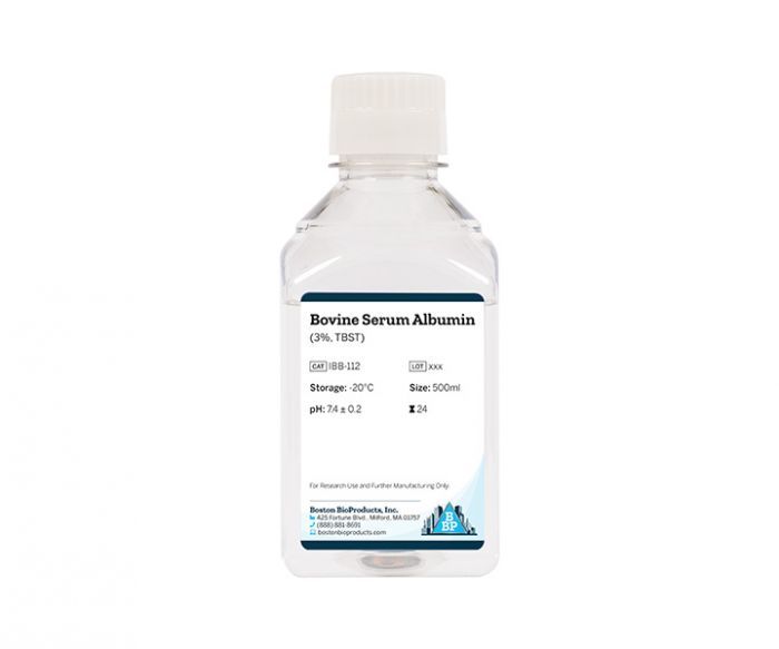 Bovine Serum Albumin   (3%, TBST)