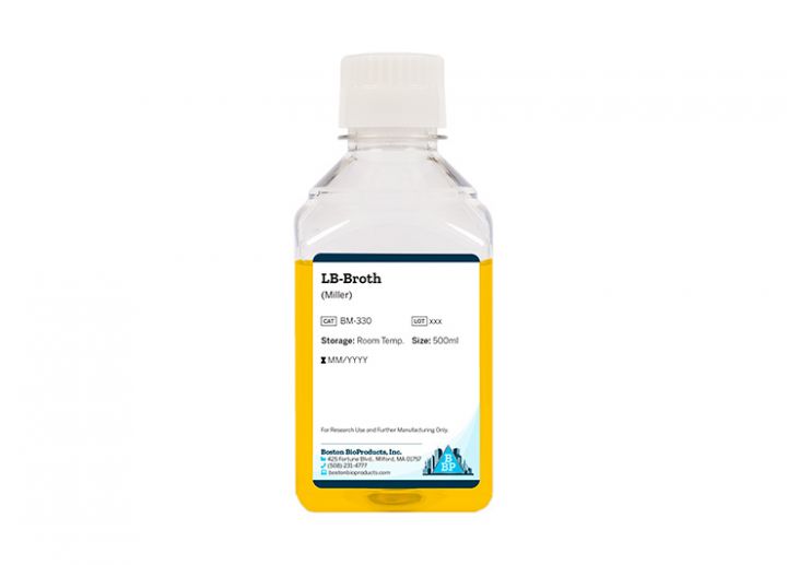 LB-Broth (Miller)