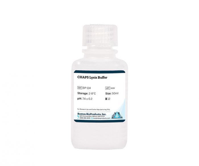 CHAPS Lysis Buffer