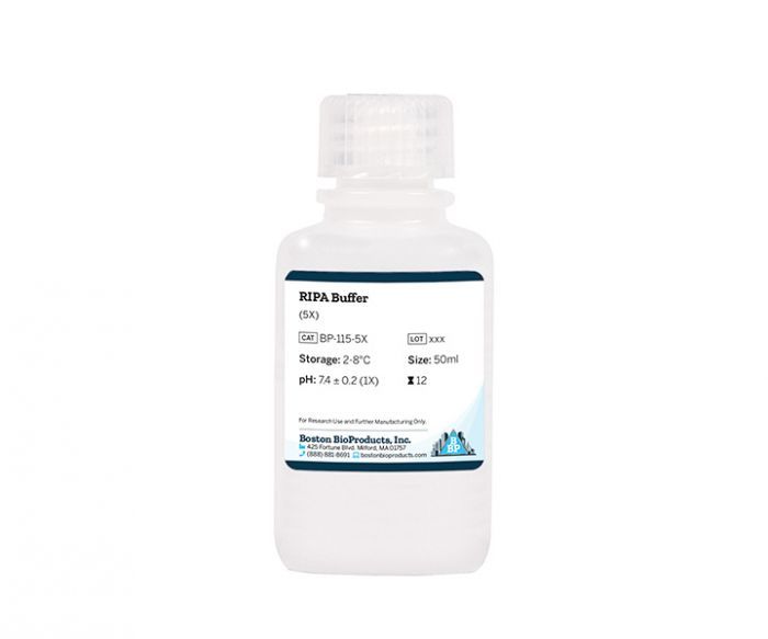 RIPA Buffer (5X)