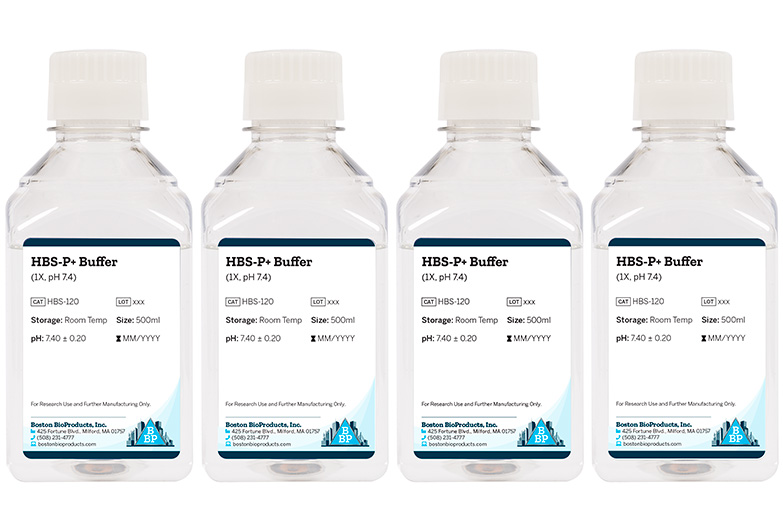 HBS-P+ Buffer (1X, pH 7.4)