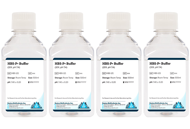 HBS-P+ Buffer (10X, pH 7.4)