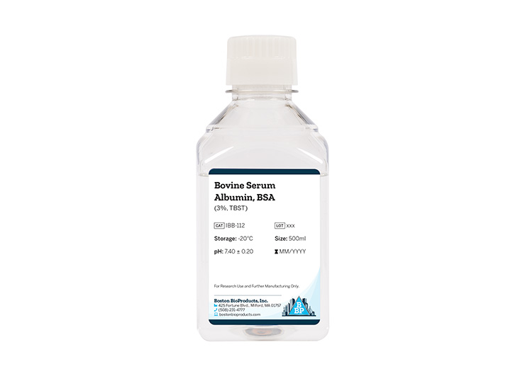 Bovine Serum Albumin, BSA (3%, TBST)