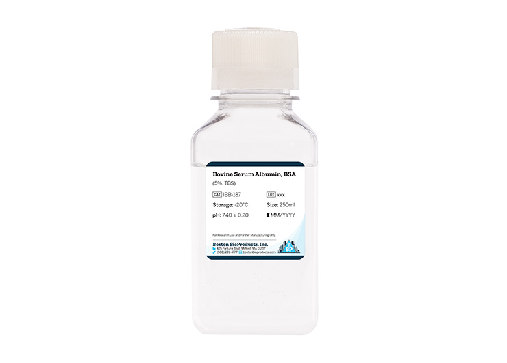 Bovine Serum Albumin, BSA (5%, TBS)