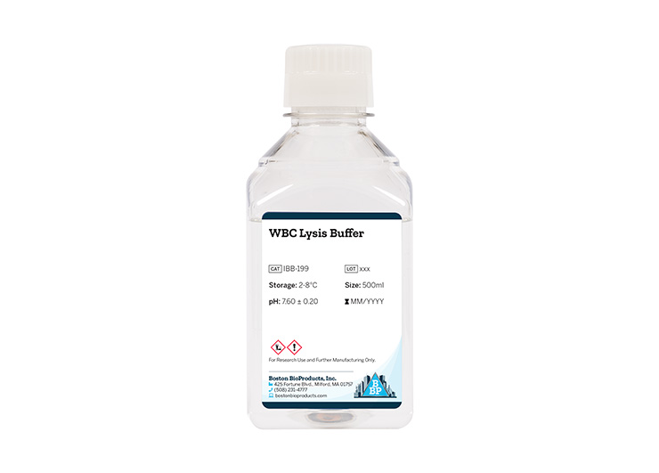 WBC Lysis Buffer