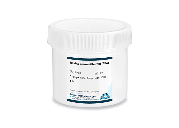 Bovine Serum Albumin (BSA)