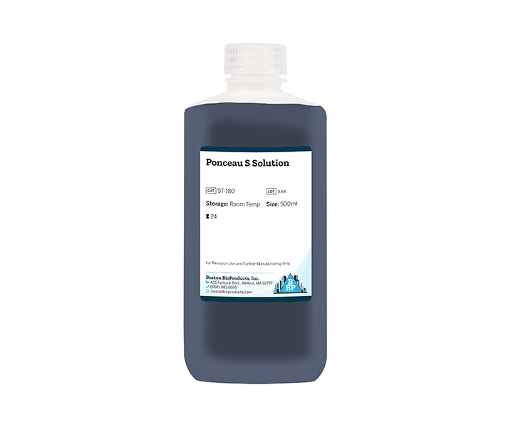 Ponceau S Solution