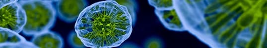 homepage_cellphysiology-2x-min