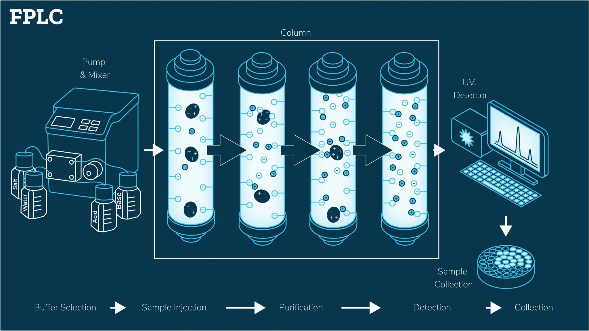 FPLC-scaled