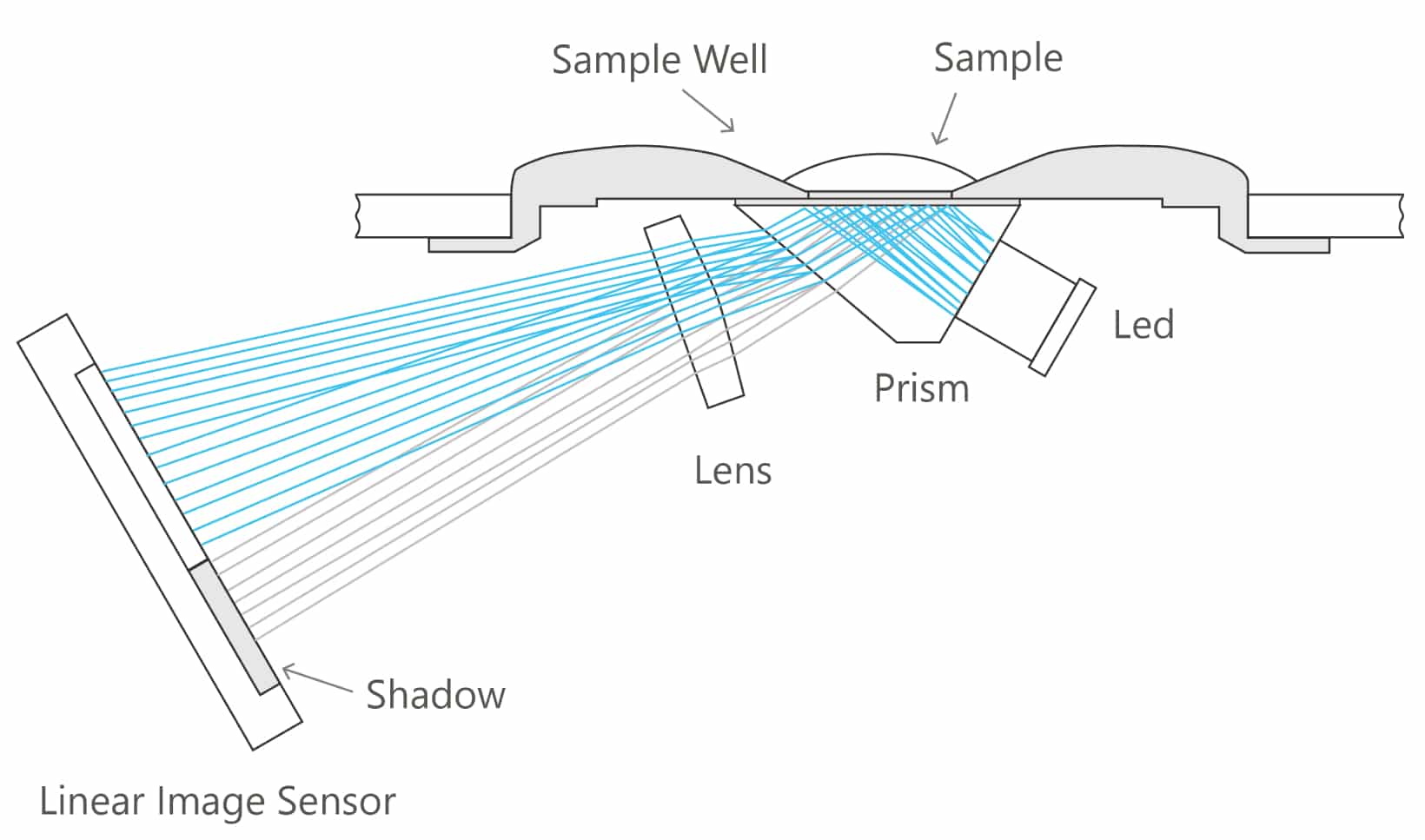 Refractometer-1