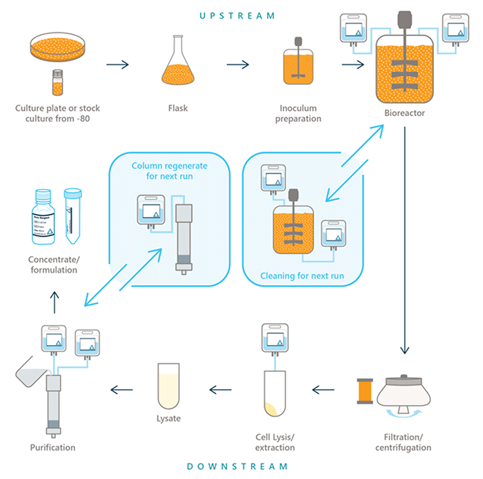 Upstream-Downstream-Processing3