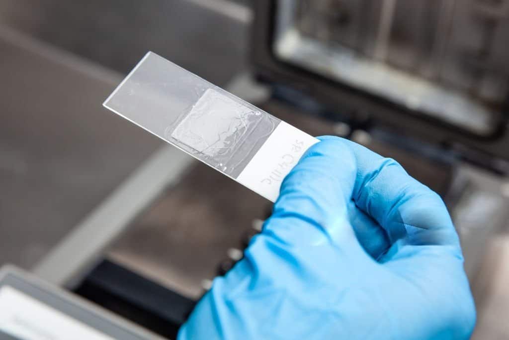 Boston-BioProducts-Protocol_section_image