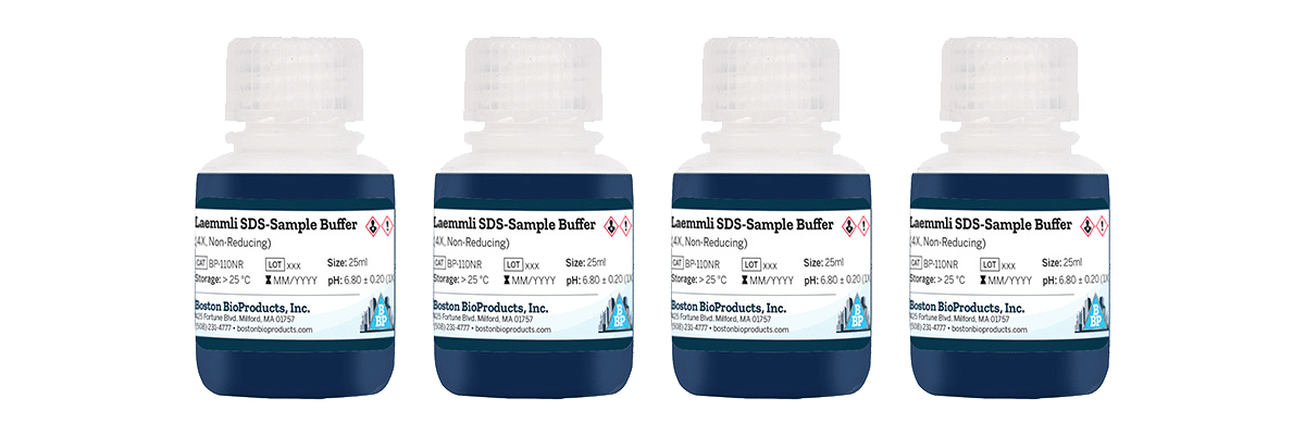 LaemmliBottles
