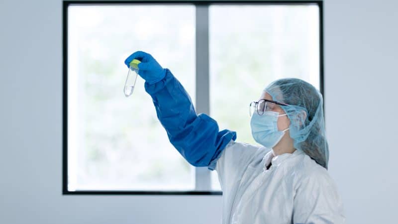 2024-07-2316-18-47-800x450 2024-07-2316-18-47-800x450