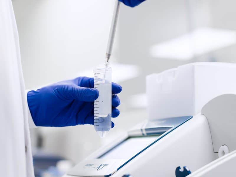 2024-07-2415-39-57-800x600 2024-07-2415-39-57-800x600