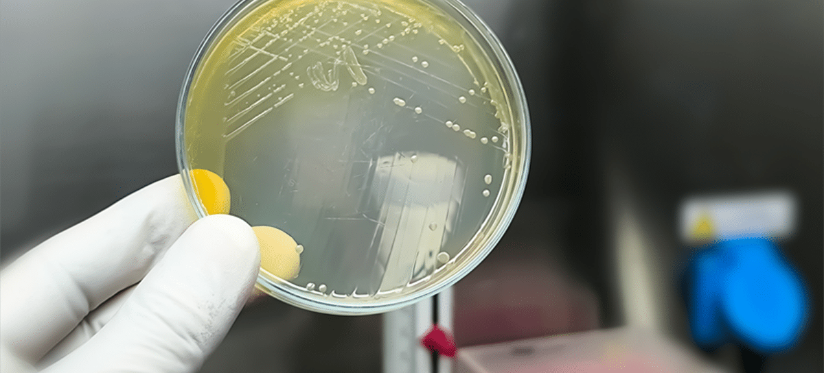 Antibiotics_Image1v2